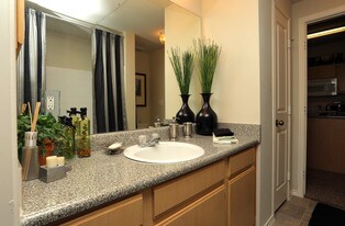 Memorial Creek Apartments