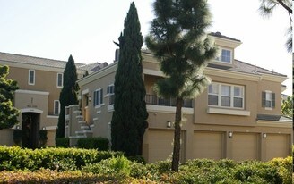 Newport Ridge Apartment Homes