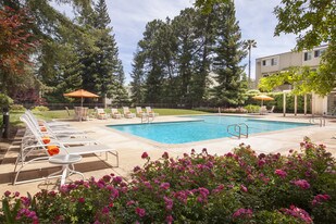 Brookdale Apartments