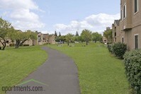 Building Photo - Shadowbrook Apartments in Modesto, California