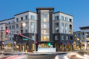 Aster Apartments