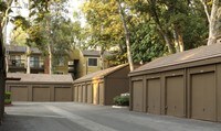 Building Photo - Alvista Canyons Apartments in Riverside, California