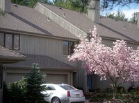 DICKINSON MANOR Apartamentos