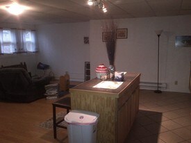 259 W Shawnee Ave Plymouth PA Apartments