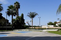 Building Photo - The Palms on University Apartments in Riverside, California