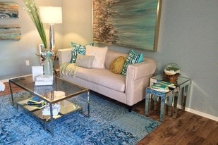 Domain 3201 Apartments