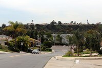 Bay Terraces