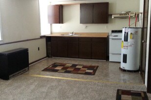 209 Pine St South Dayton NY Apartments