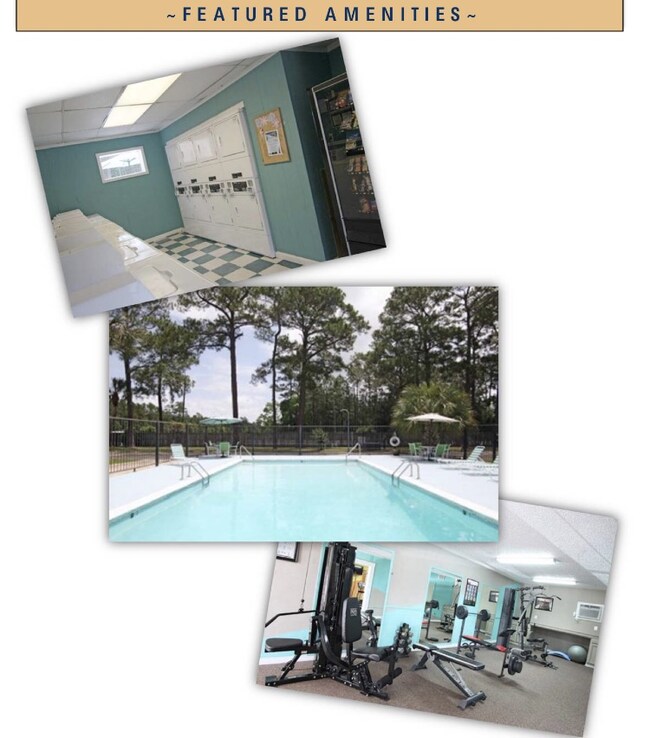 Apartments For Rent In Vancleave Ms Apartments For Rent In Vancleave Ms