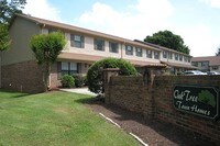 Oak Tree Apartamentos