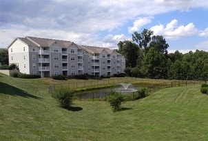 Ivy Walk Apartments