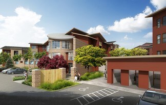 Elevation Apartments