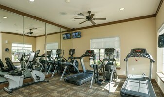 Camden Downs At Cinco Ranch Apartments