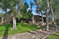 Building Photo - Palm Canyon Apartments in Tucson, Arizona