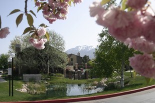 Cherry Creek Apartments