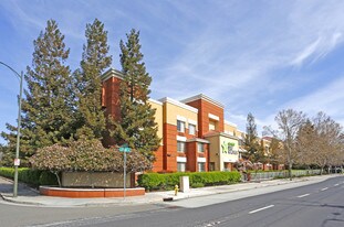 Furnished Studio – San Jose - Downtown