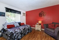 Building Photo - The Standard Raintree Apartments in Tucson, Arizona