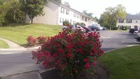 Beech Tree Glen Apartments