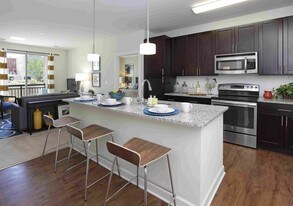 New Village at Patchogue Apartments