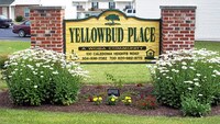 Yellowbud Place Apartments