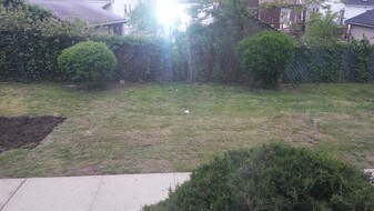 86-45 Winchester Blvd Queens NY Apartments
