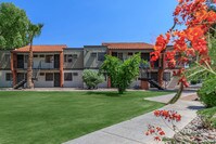 Building Photo - The Standard Raintree Apartments in Tucson, Arizona