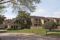 Building Photo - Northeast Pines Apartments in Humble, Texas
