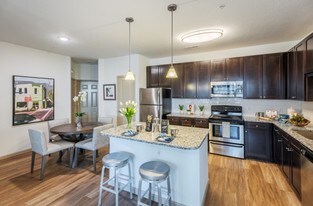 The Point at Bella Grove Apartments