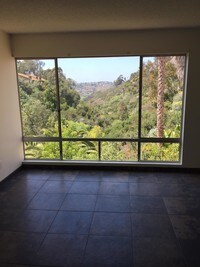 Antone Apartments