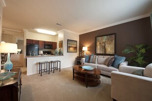 Camden Shadow Brook Apartments