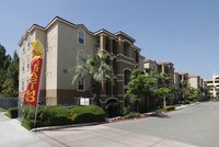 The Palms on University - Student Living Apartments