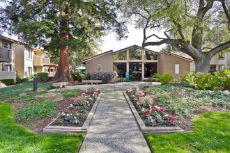 Building Photo - Terra Willow Glen Apartments in San Jose, California