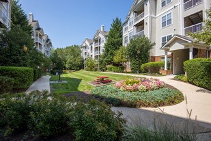 The Morgan Apartments