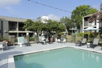 Building Photo - Canvas Apartments in Austin, Texas
