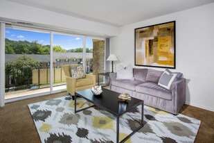 Deertree Apartamentos