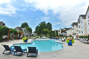 Tree Park Apartments