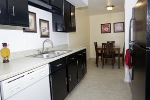 Shadowtree Apartments