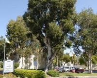 Building Photo - Summerbrook Apartments in San Diego, California