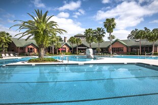 Campus Lodge Tampa Apartments