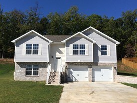 164 Lyle Curtis Cir Waynesville MO