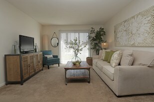 Shadowtree Apartment Homes