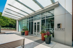 The Ascent at Spring Hill Station Apartments