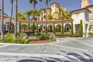 Santa Palmia at Palm Valley Apartments