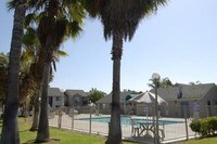 Building Photo - Summerbrook Apartments in San Diego, California